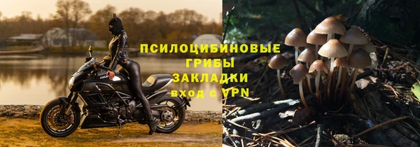 наркотики Новозыбков