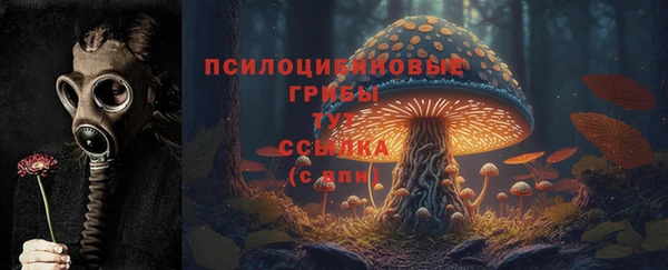 Альфа ПВП Калининец