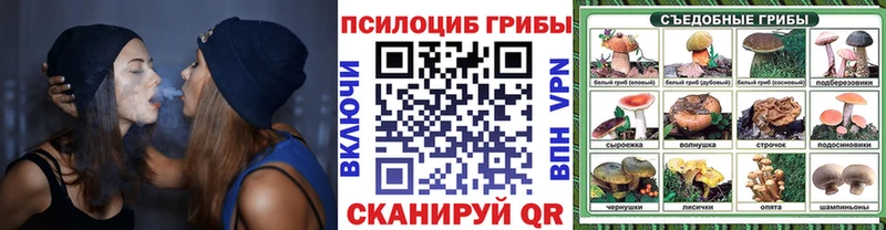 Галлюциногенные грибы Cubensis Мичуринск
