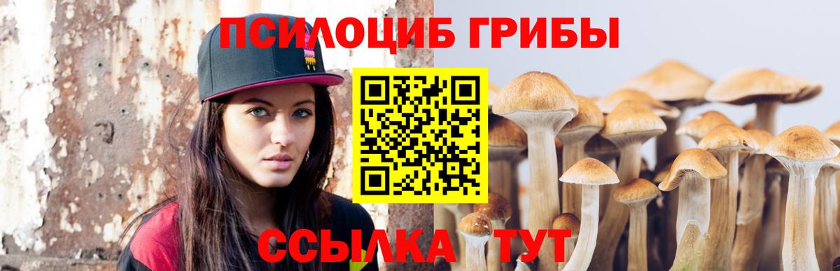 Галлюциногенные грибы мицелий  Галлюциногенные грибы GOLDEN TEACHER  Мичуринск  Вход с VPN 